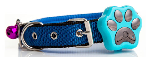 GPS Dog Collar