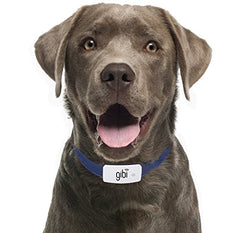gps tracker for dogs under skin