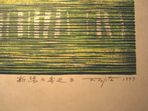 A Great Huge Orig Japanese Woodblock Print Pencil-Signed Limit# Fujita Fumio New Green at Riverside B 1997