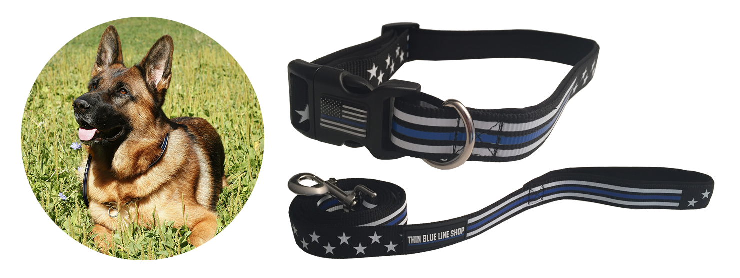 matching dog collar and leash