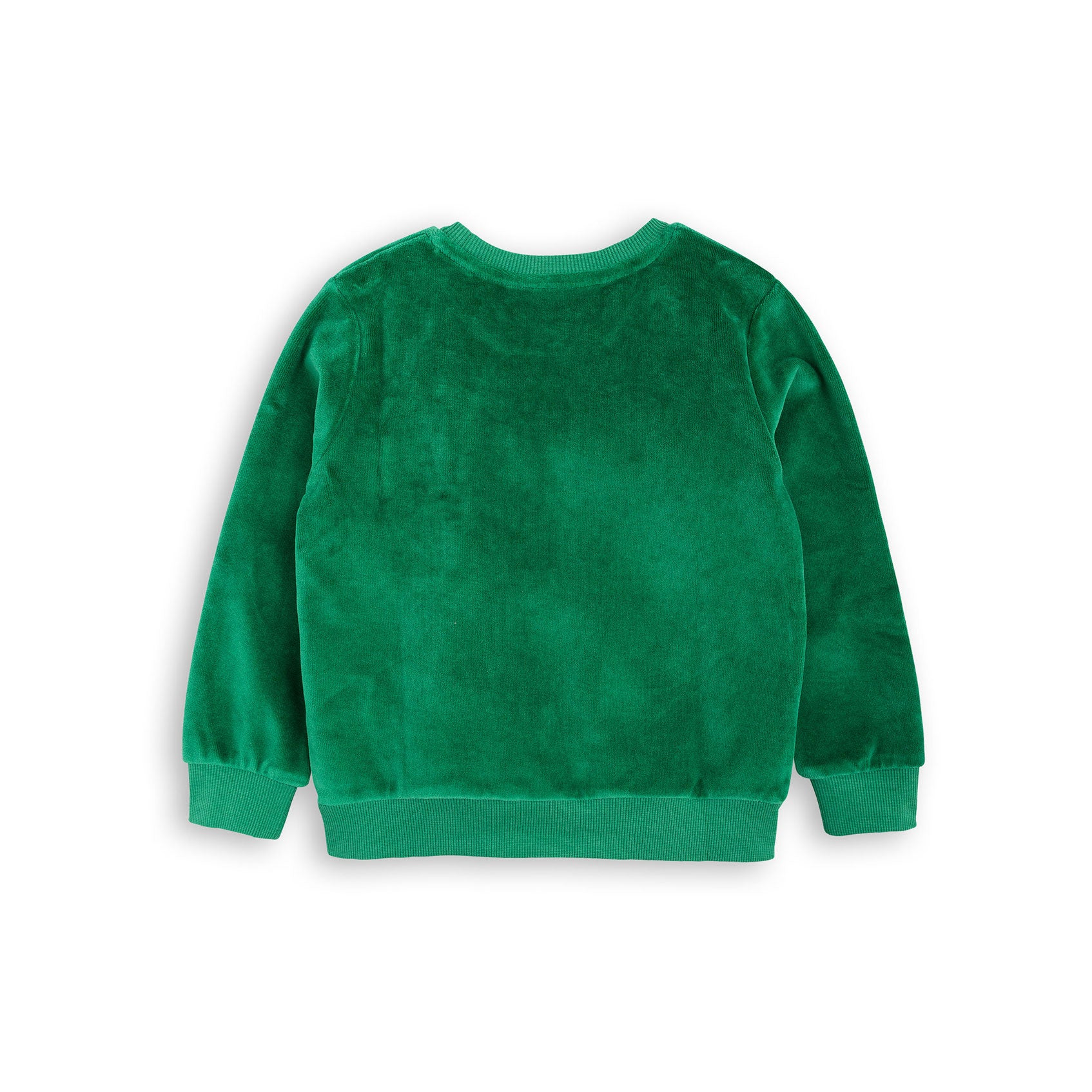 green velour sweatshirt