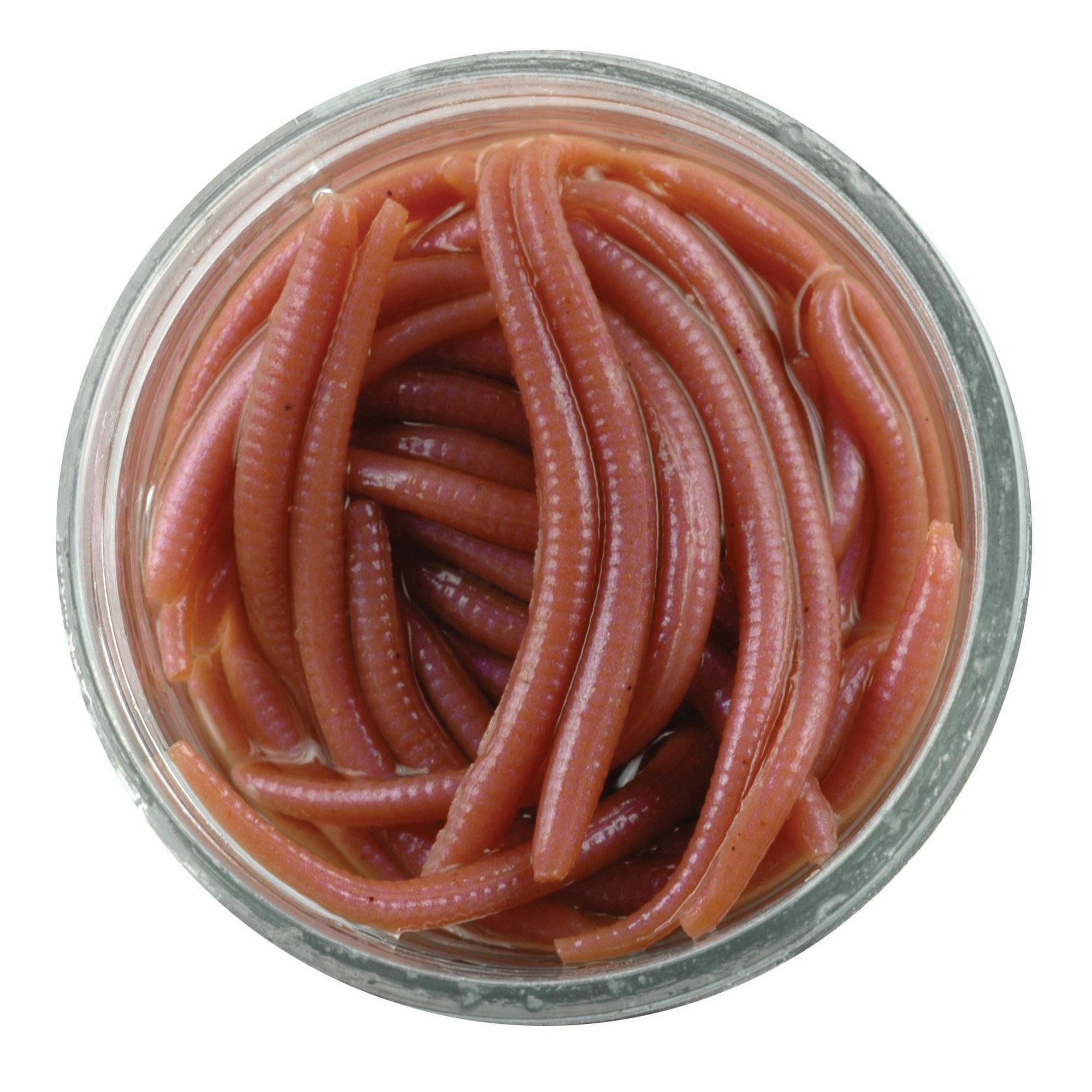 Berkley Gulp! Alive Arenicola / Lugworms 10cm – Anglers World