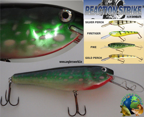 PREDATOR BASICS #3  How to fish the Dropshot For Perch and