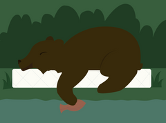 bear sleeping on a nolah mattress catching a fish while asleep