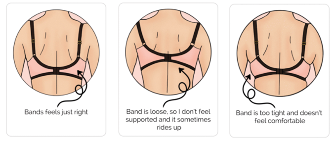 How to know your bra size without a measuring tape – Playful