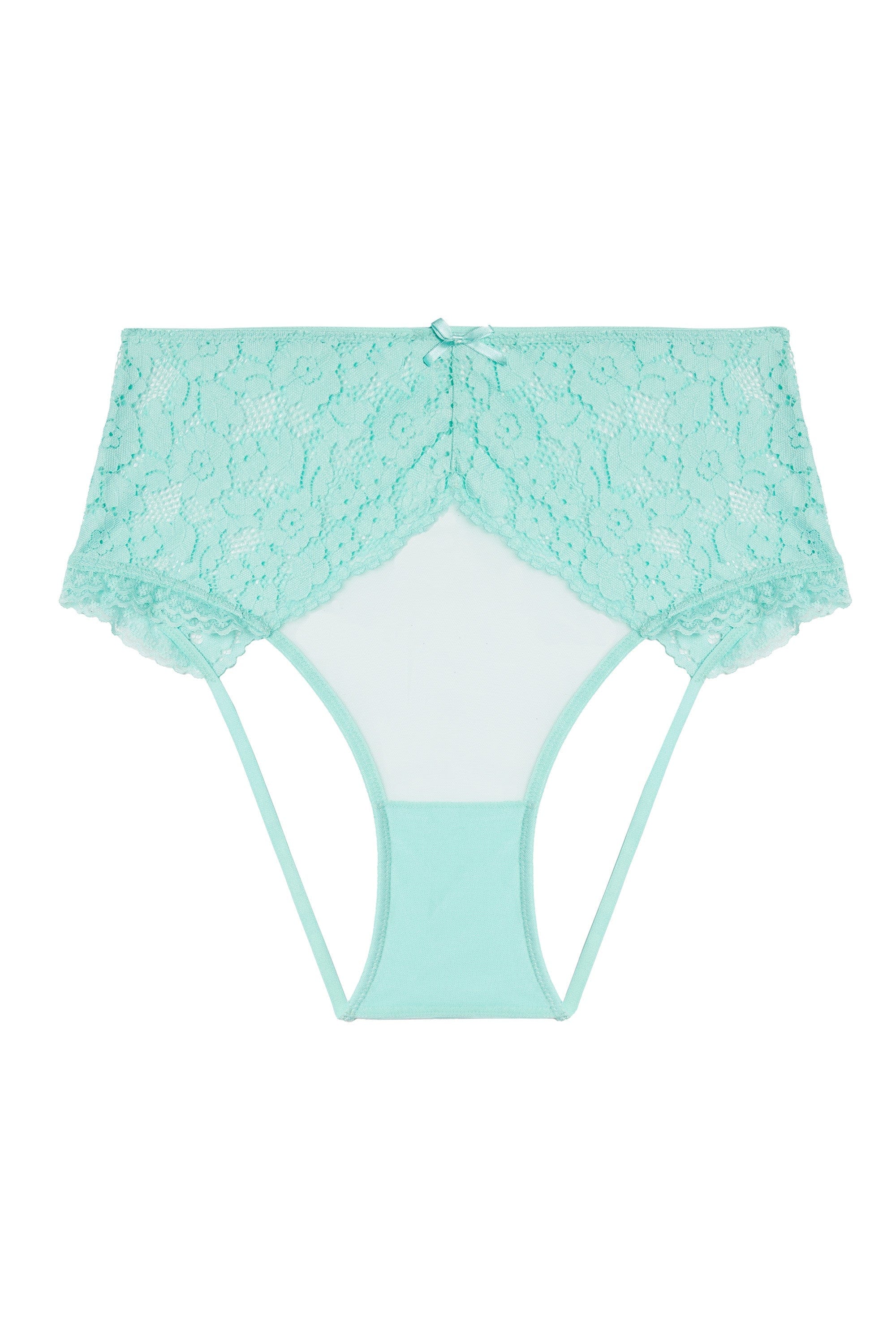 Vega Aqua Lace And Frill Open Back High Waisted Briefs