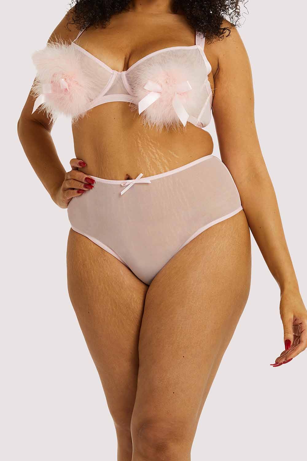 Marina Pink High Waisted Mesh Brief