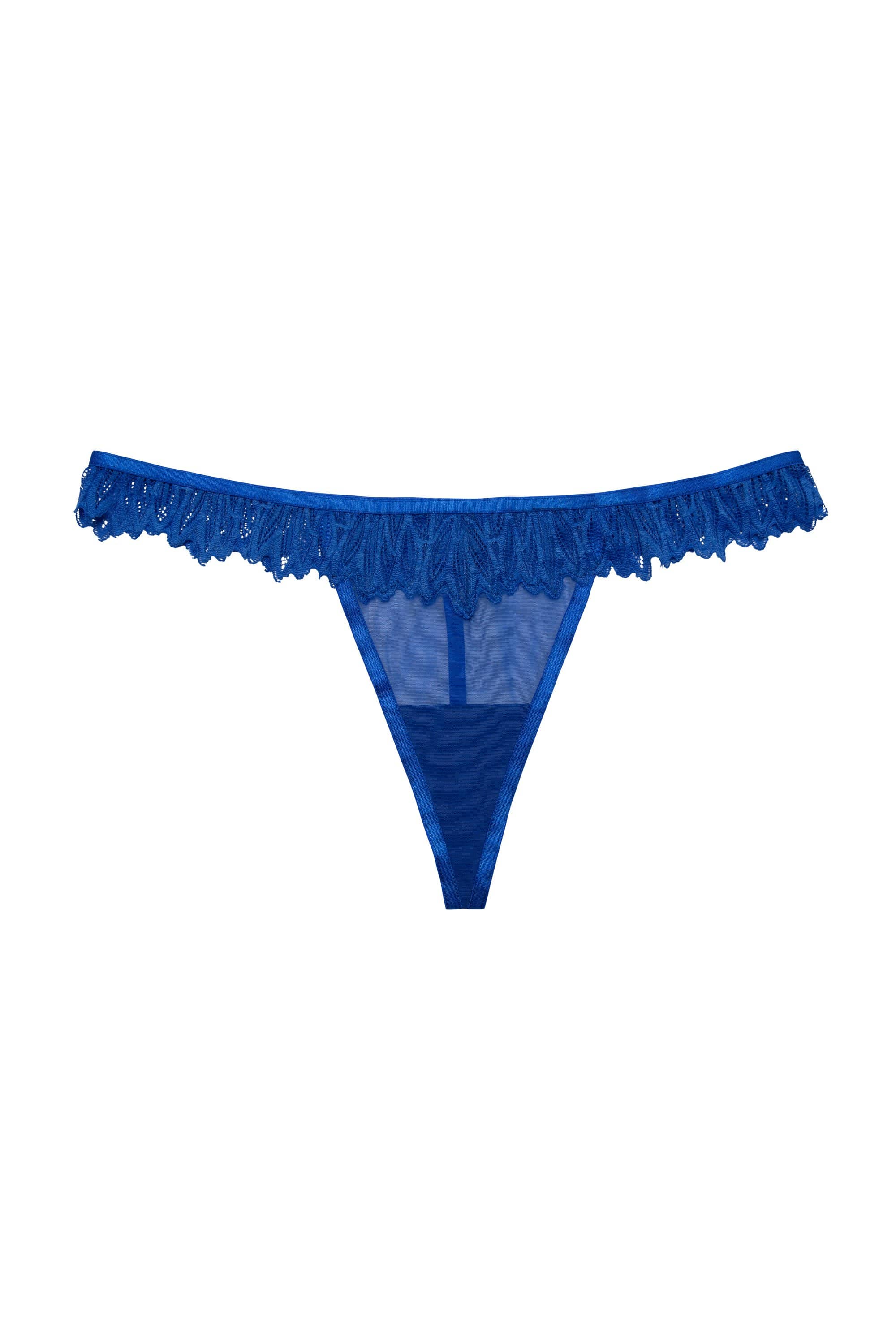 Margot Cobalt Lace and Mesh Hipster Brief