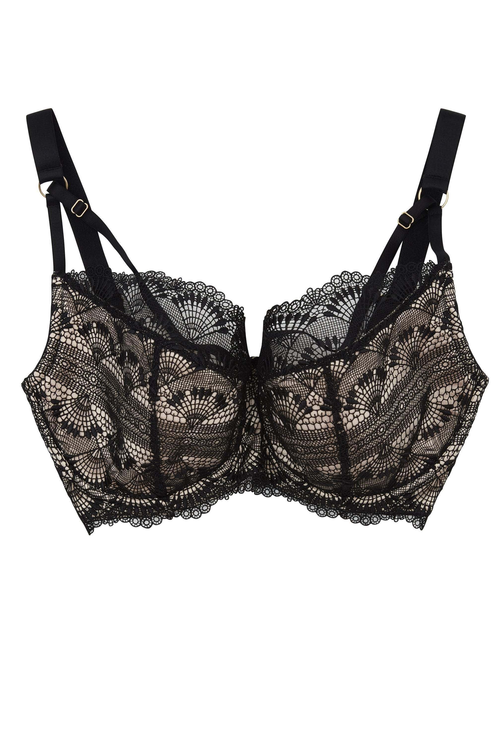 Ysabel Lace Bra