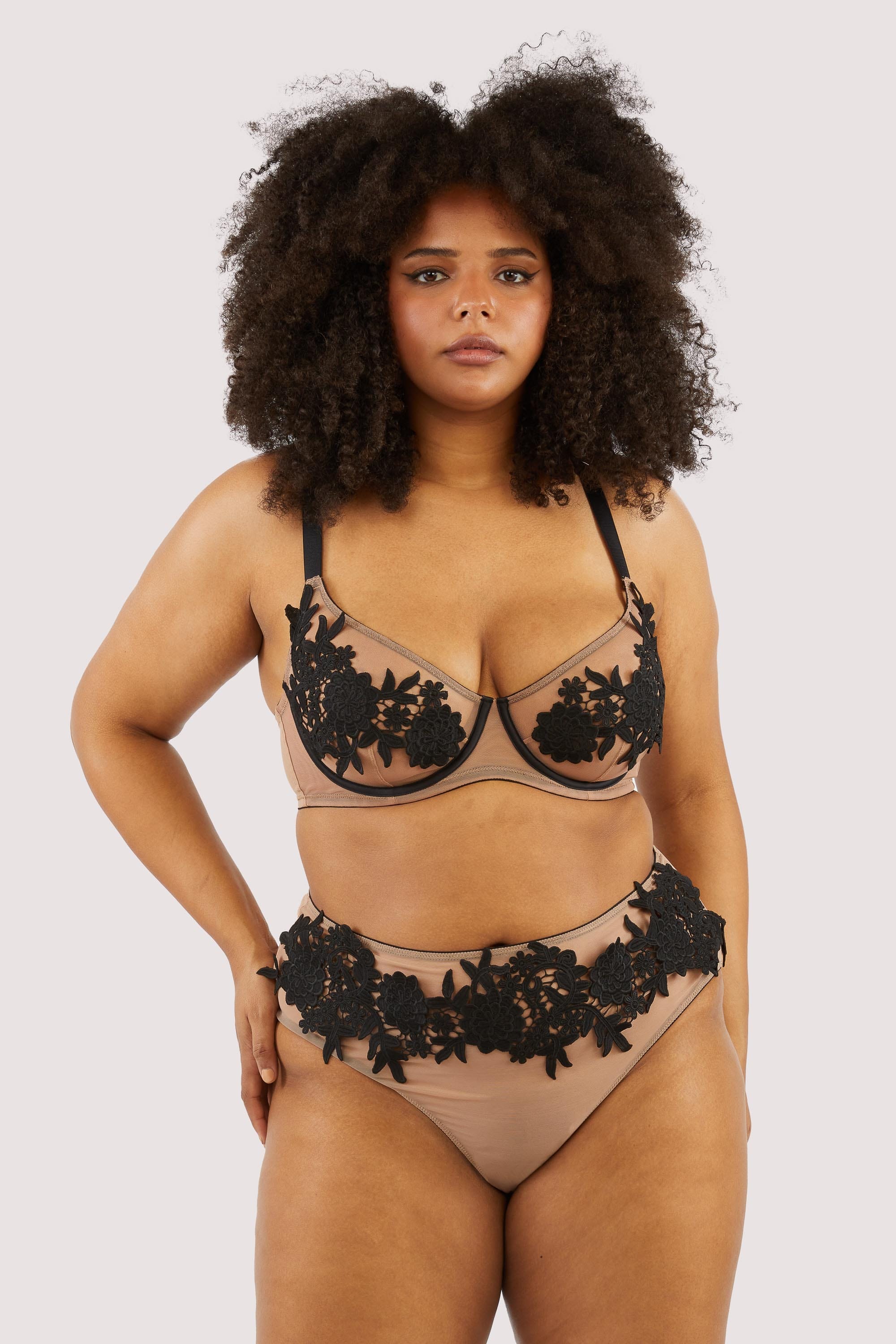 Alaina Illusion Mesh And Black Applique Brief