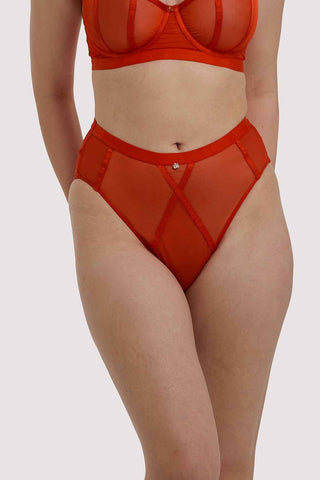 https://cdn.shopify.com/s/files/1/1078/7264/products/playful-promises-st013208-sheer-chic-flame-red-hw-brief-29305662505008_large.jpg?v=1641396121