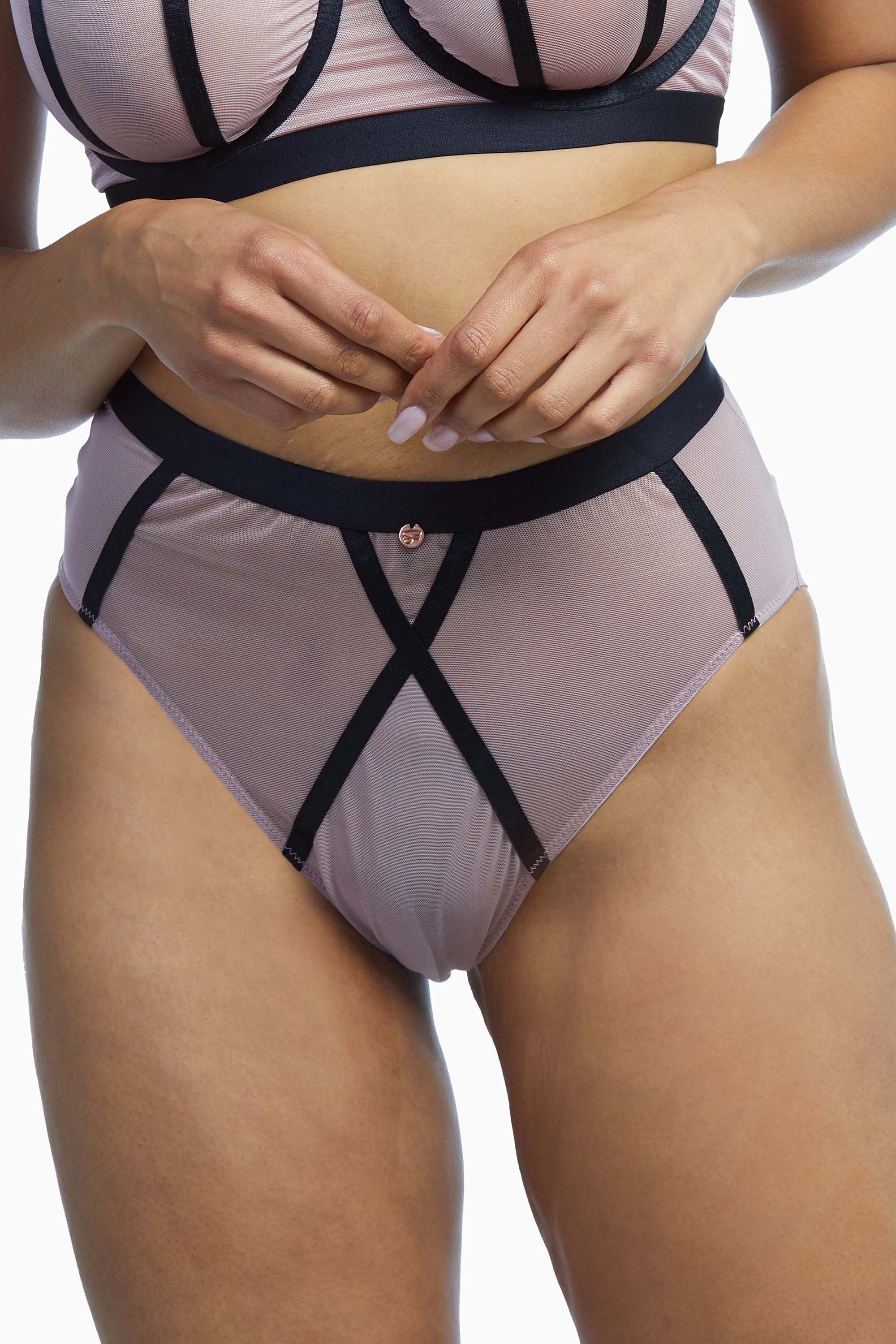 Scantilly Sheer Chic High Waist Brief