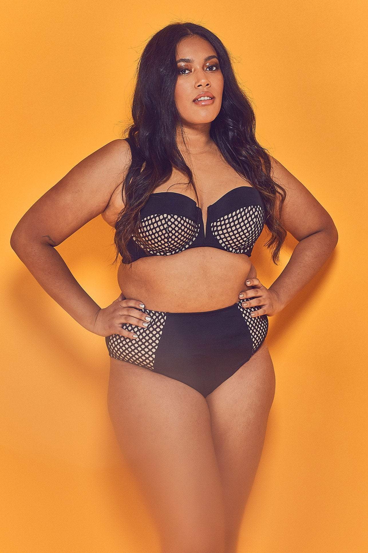 Cyra Fishnet Panel Bikini Brief Curve