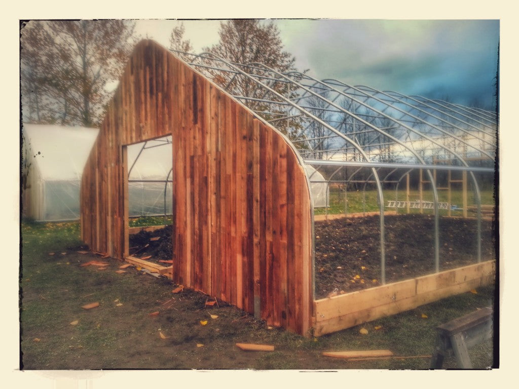 West facing endwall, with our salvaged cedar tongue and groove.