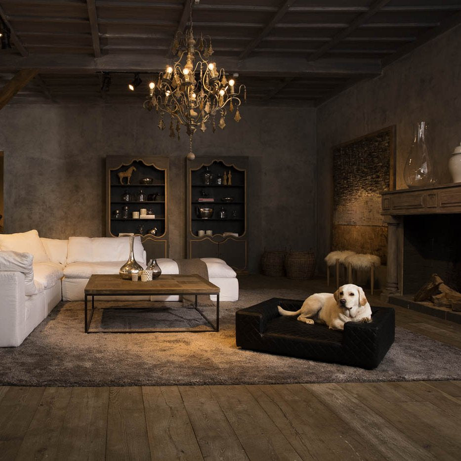 luxury dog furniture