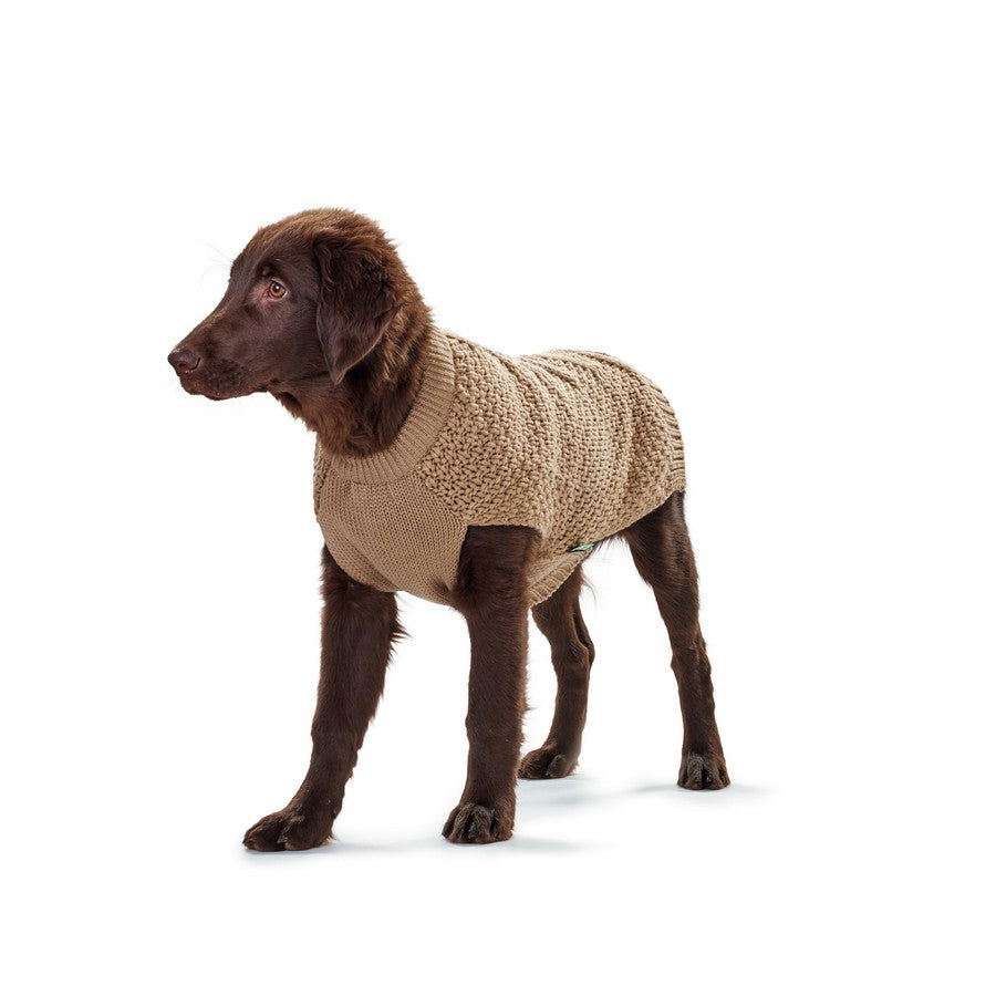 dog pullover