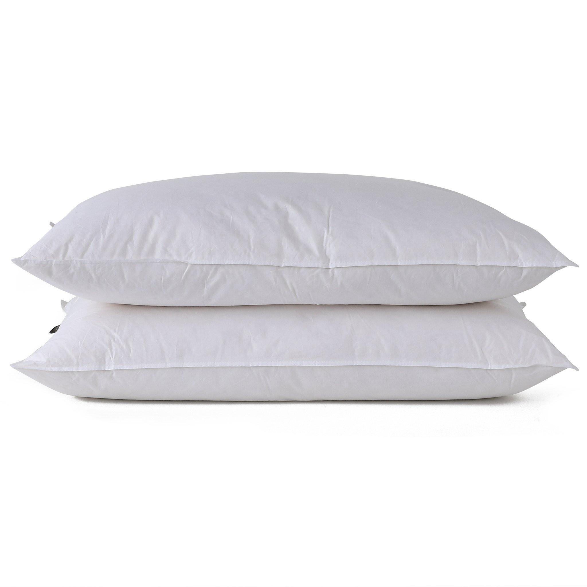 Buy 100% Natural White Goose Down Pillows Online – endlessbay