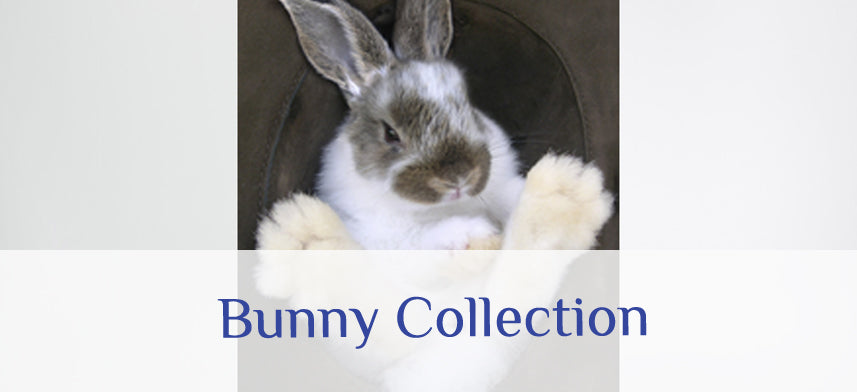 About Wall Decor's Bunny Collection