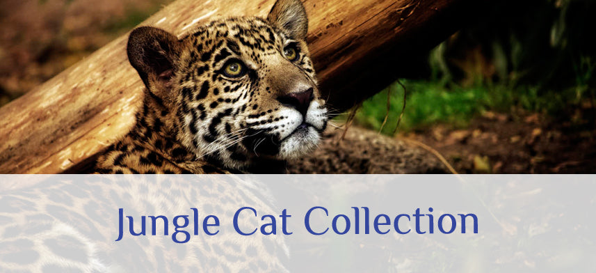 About Wall Decor's Jungle Cat Collection