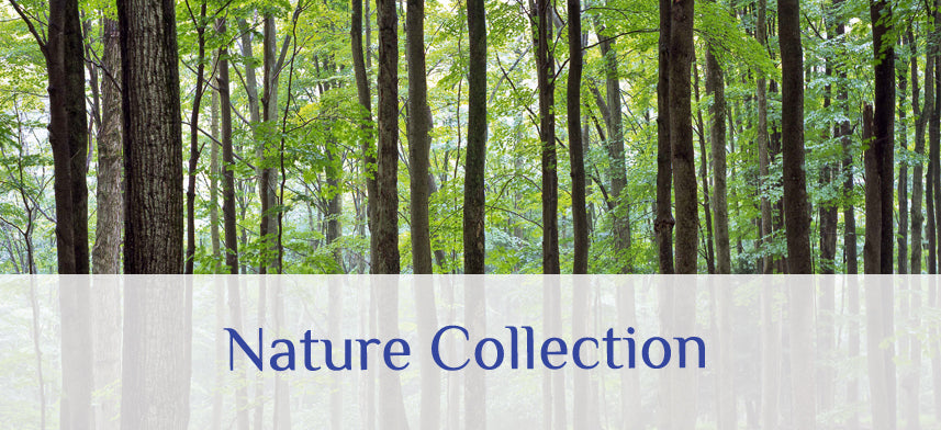 About Wall Decor's Nature Collection
