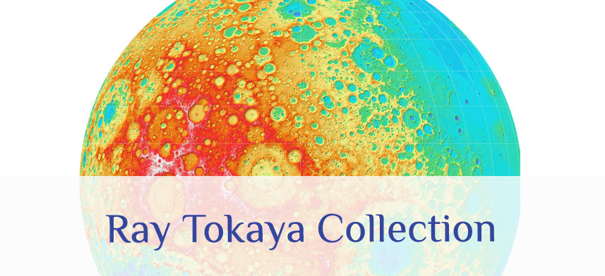 About Wall Decor's "Ray Tokaya" Collection