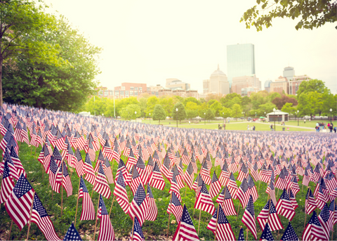Picture of a field of mini flags for the Memorial Day Display