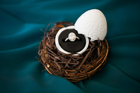 Picture of an engagement ring in a nested egg.