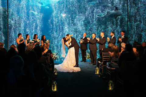 Picture of a wedding ceremony in front of shark tank groom is kissing the bride and bubbles fountains are going off in the shark tank.