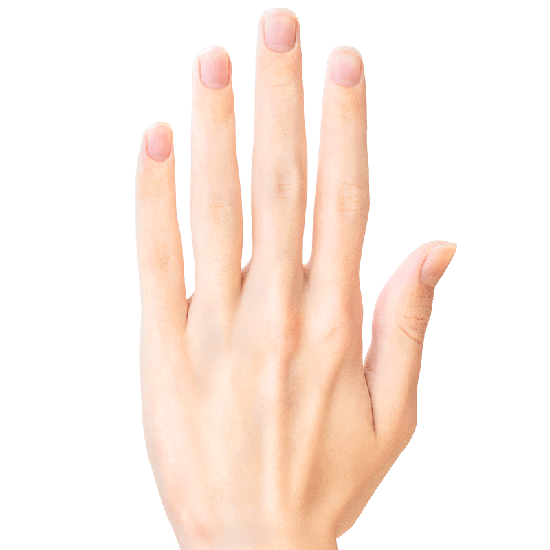 Light Skin Hand