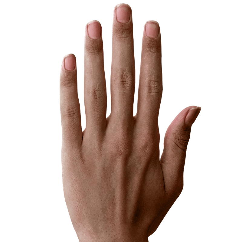 Medium Skin Hand