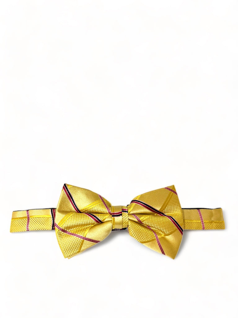 Black and Gold 4-way Butterfly Self-tying Bow Tie