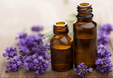 Lavender Oil Insect Repellant