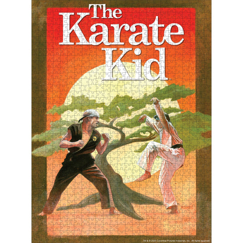 the karate kid 1984 poster