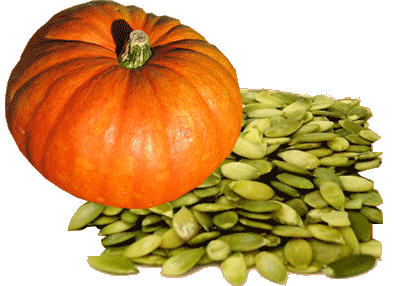 pumpkin cucurbita pepo seed oil