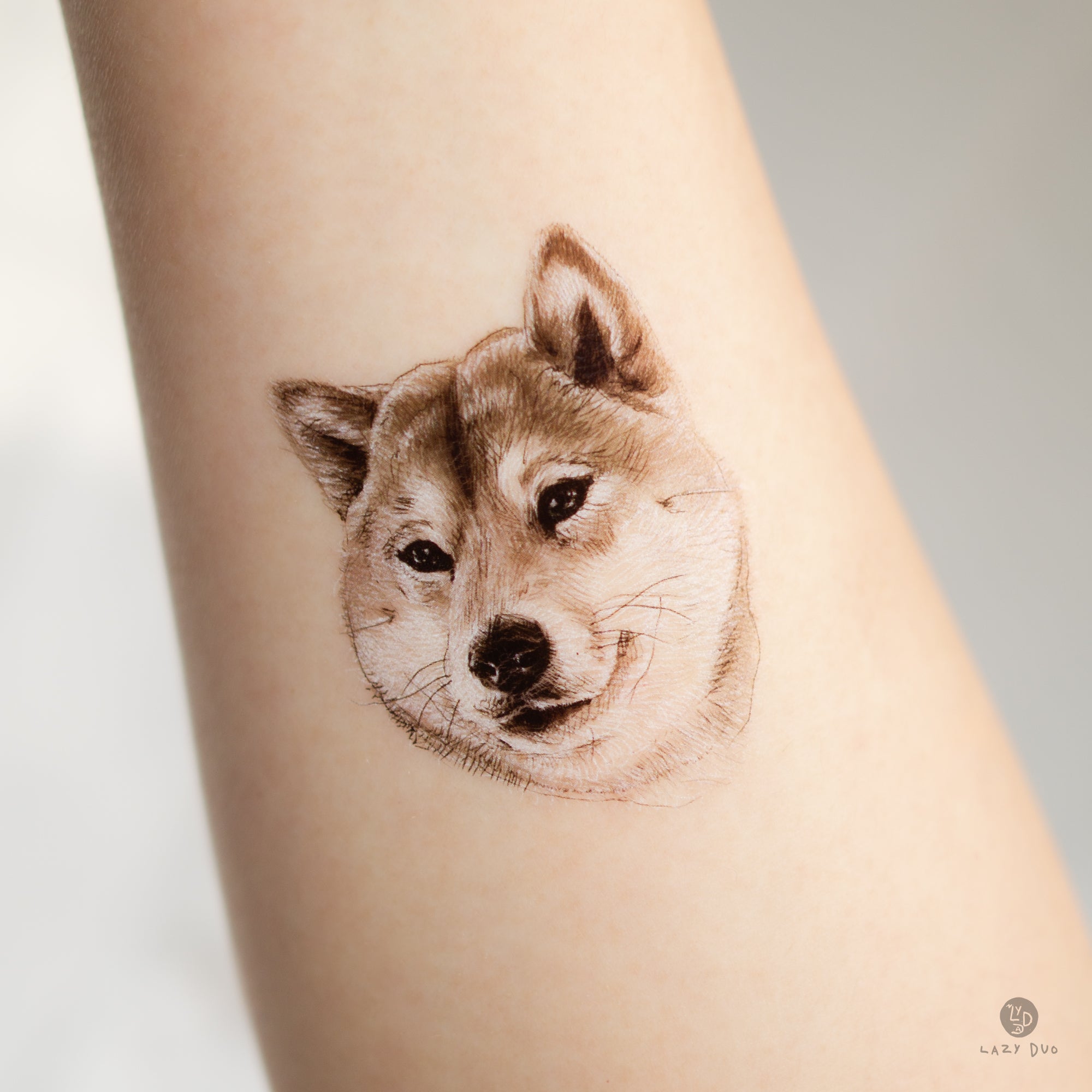 Neo Traditional Shiba Inu on my bicep  rtattoo