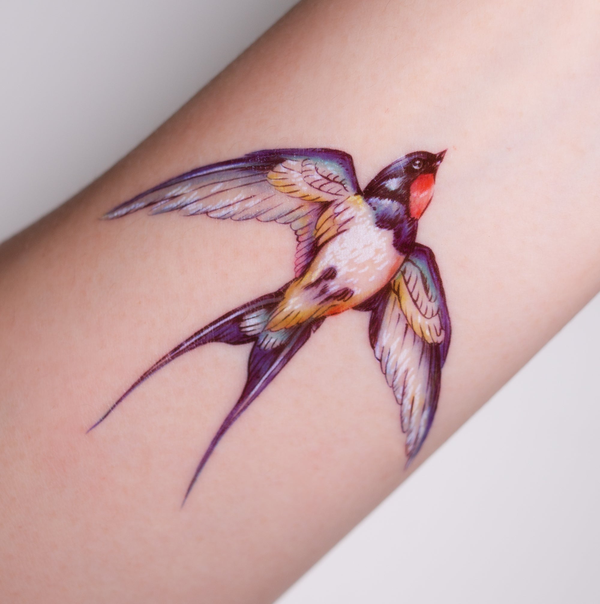 Blue Jay Bird Temporary Tattoo Sticker  OhMyTat