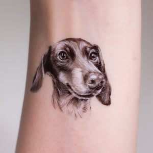 943 Dachshund Tattoo Images Stock Photos  Vectors  Shutterstock