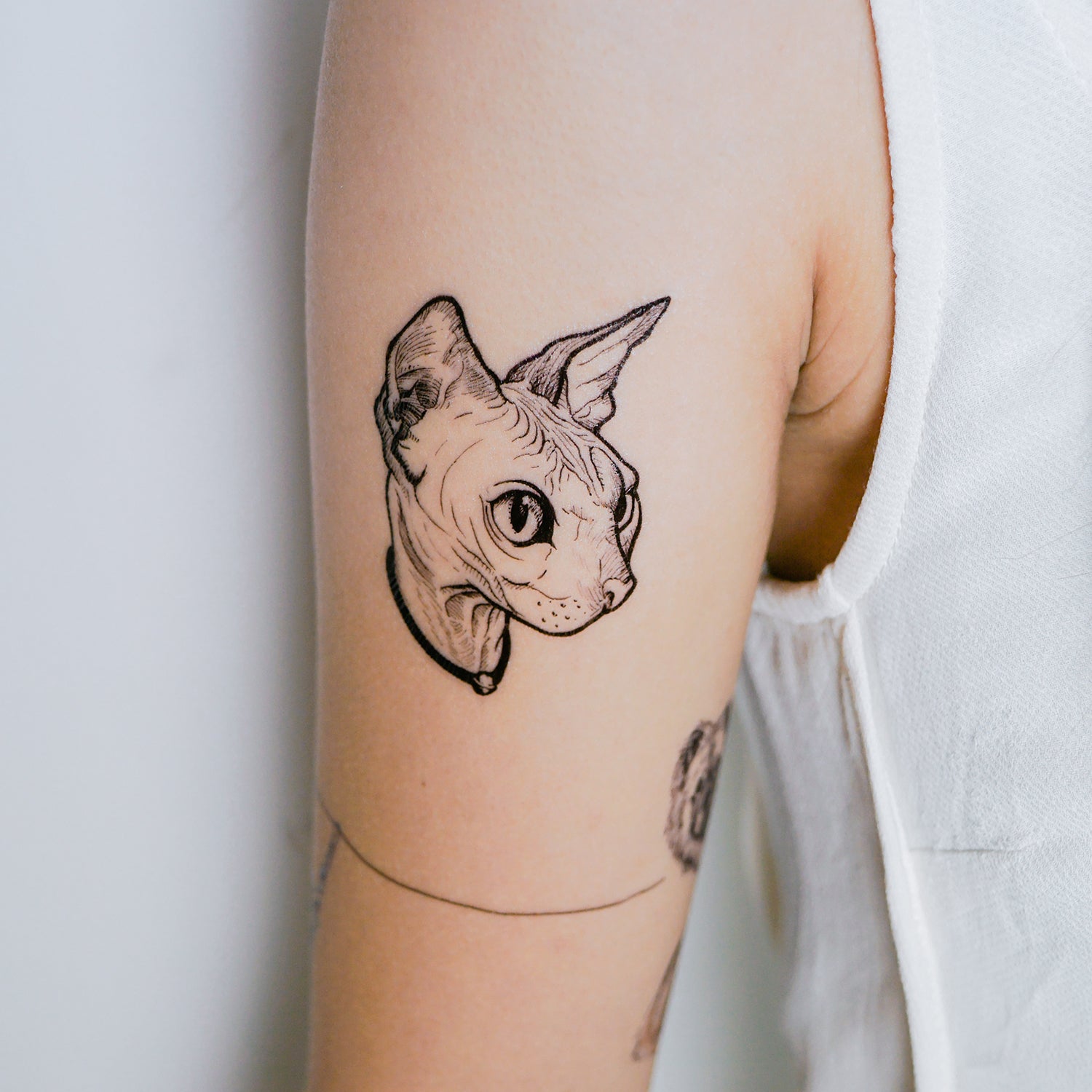 تويتر  TattooViral على تويتر Geometric Tattoo  tattooprices tattoo  matching cat tattoos rose on ankle tattoo httpstcojPgcbbWUsk  httpstco2FQBbNzgj3