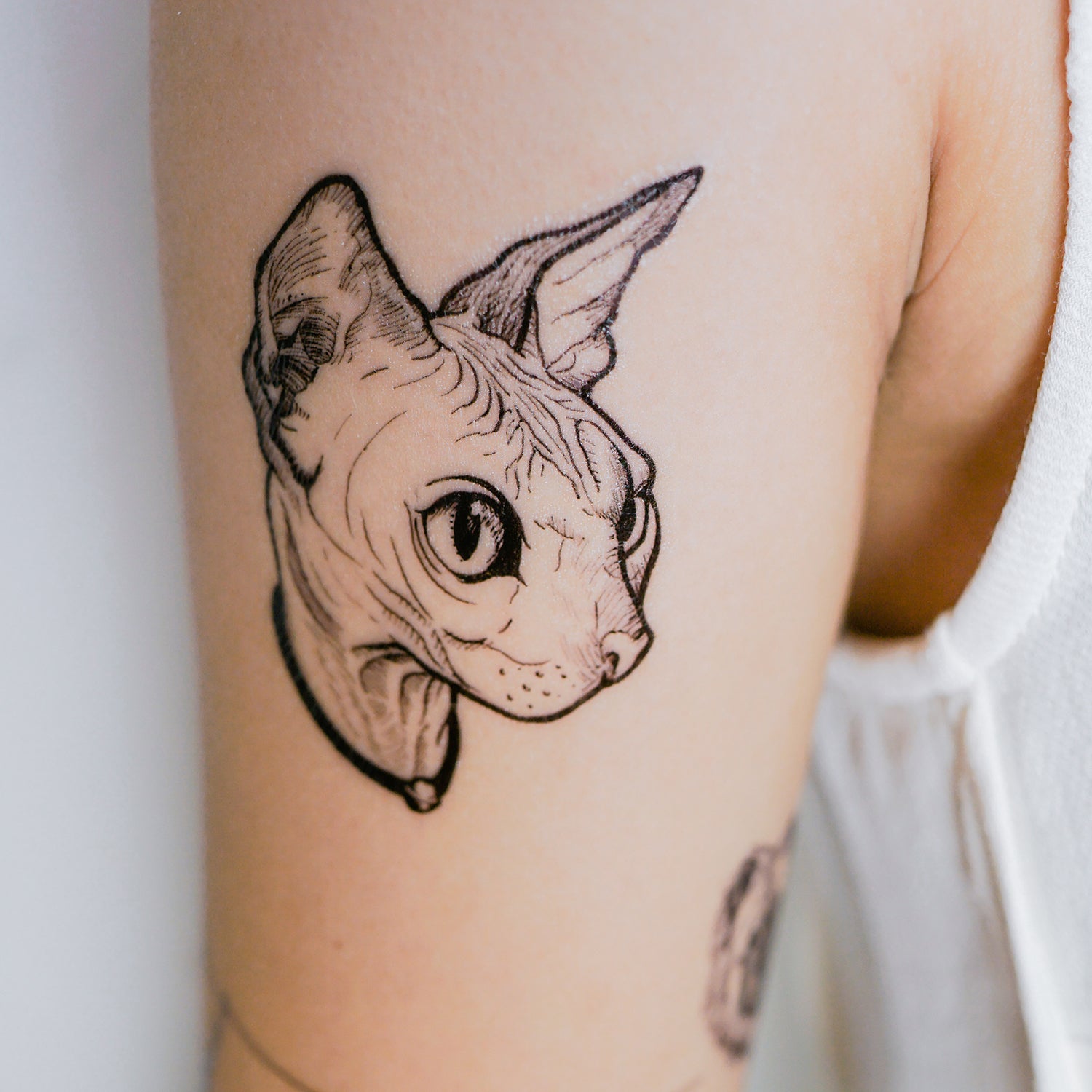 DADI  Done this sphynx cat tattoo on alexionita31 at cactusinkbucharest    Facebook