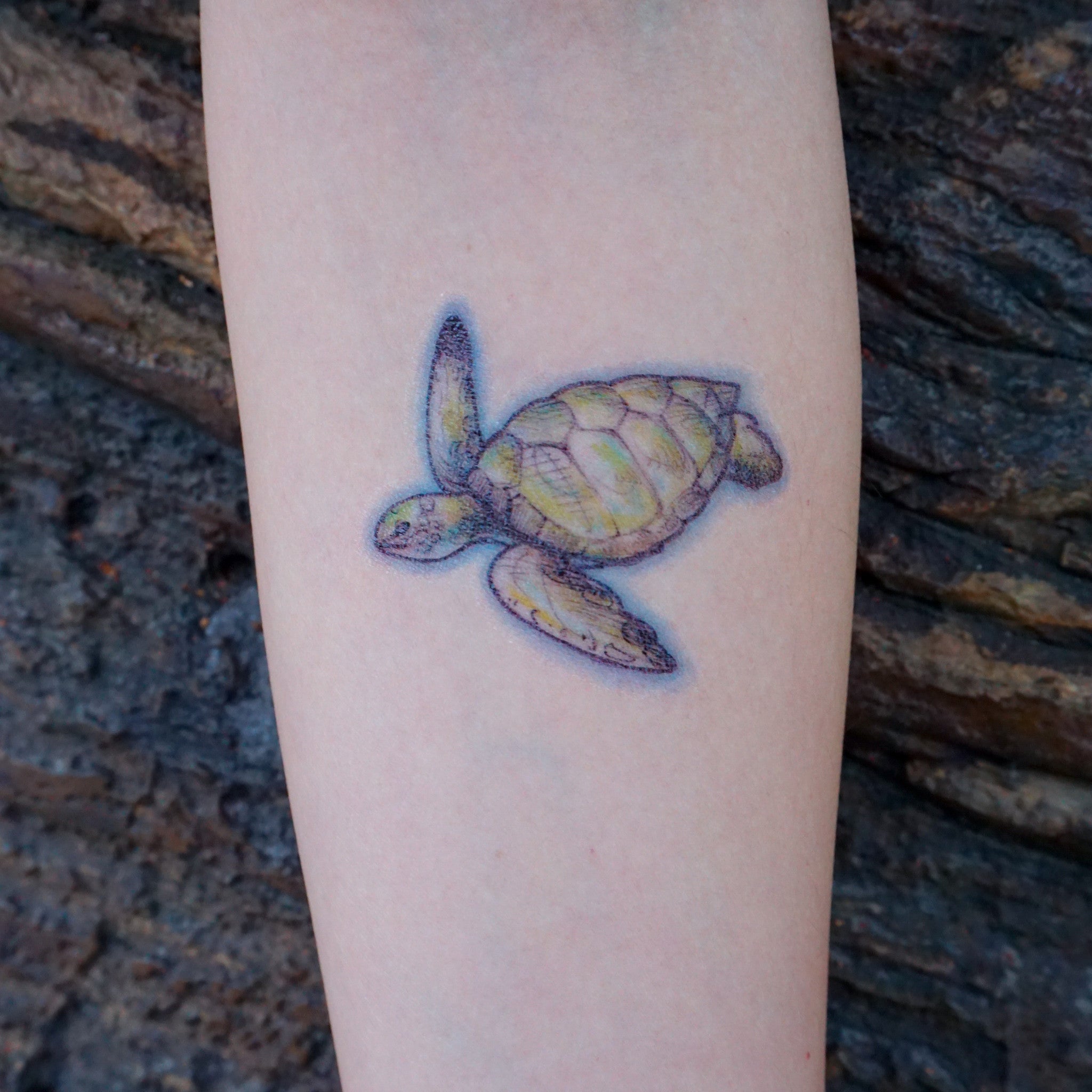 Tiny Sea Turtle Sticker