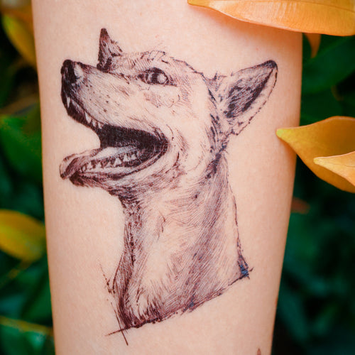 Dog Tattoo Tribute pawsandreflect  Silhouette tattoos Tribute tattoos  Paw tattoo
