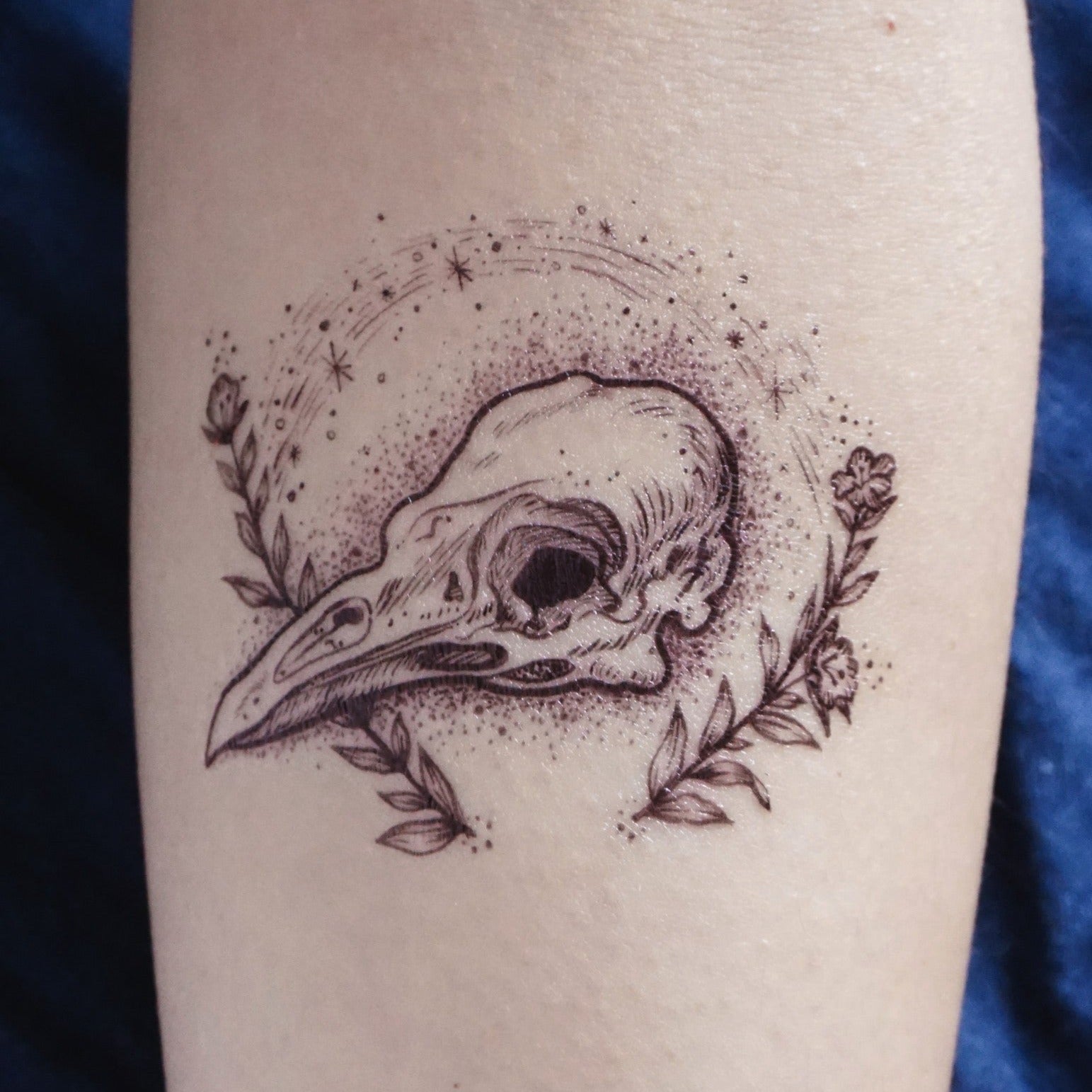 The Newest Bird Tattoos  inkedappcom