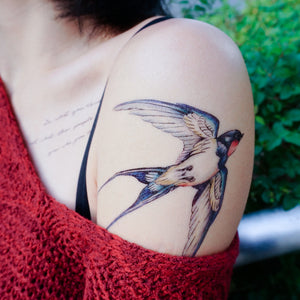 Swallow tattoo design hires stock photography and images  Alamy