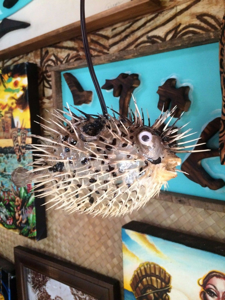 puffer fish lamp