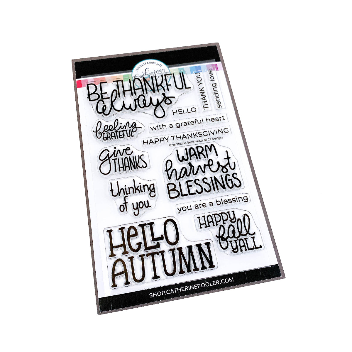 Catherine Pooler Designs Give Thanks Sentiment Stamp Set