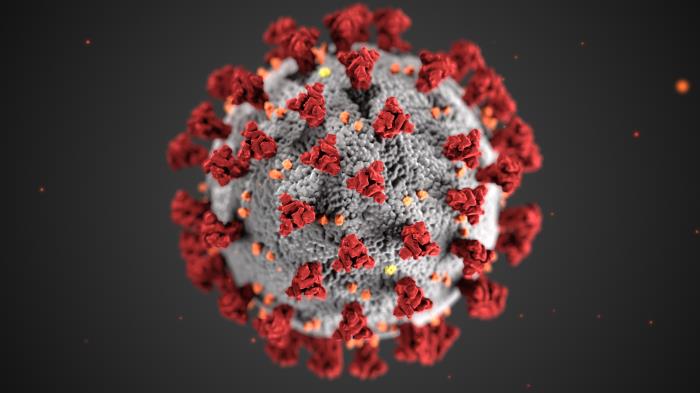 CDC Illustration of ultrastructural morphology exhibited by coronaviruses