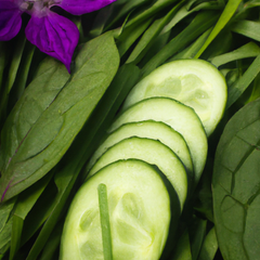 A photograph detail of fresh-cut grass, violet leaves, and cucumber