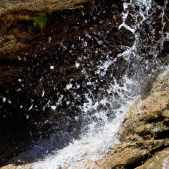 A photograph detail of a sea breeze, the freshness of a waterfall, and the ozonic note of wet air after a thunderstorm