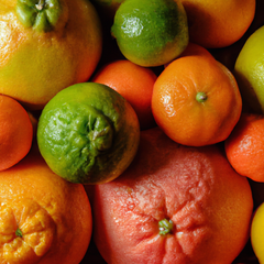A photograph detail of bergamot, lemon, mandarin, lime, oranges, and grapefruit
