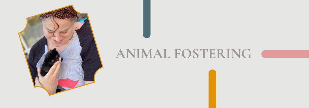 Animal Fostering by Brindle Market